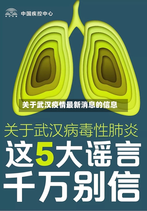 关于武汉疫情最新消息的信息-第2张图片