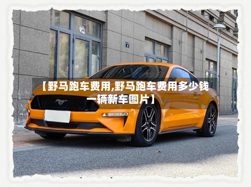 【野马跑车费用,野马跑车费用多少钱一辆新车图片】-第3张图片