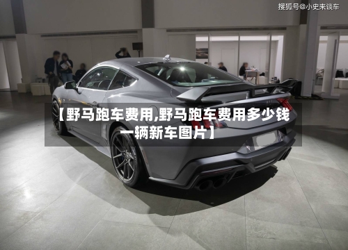 【野马跑车费用,野马跑车费用多少钱一辆新车图片】-第2张图片