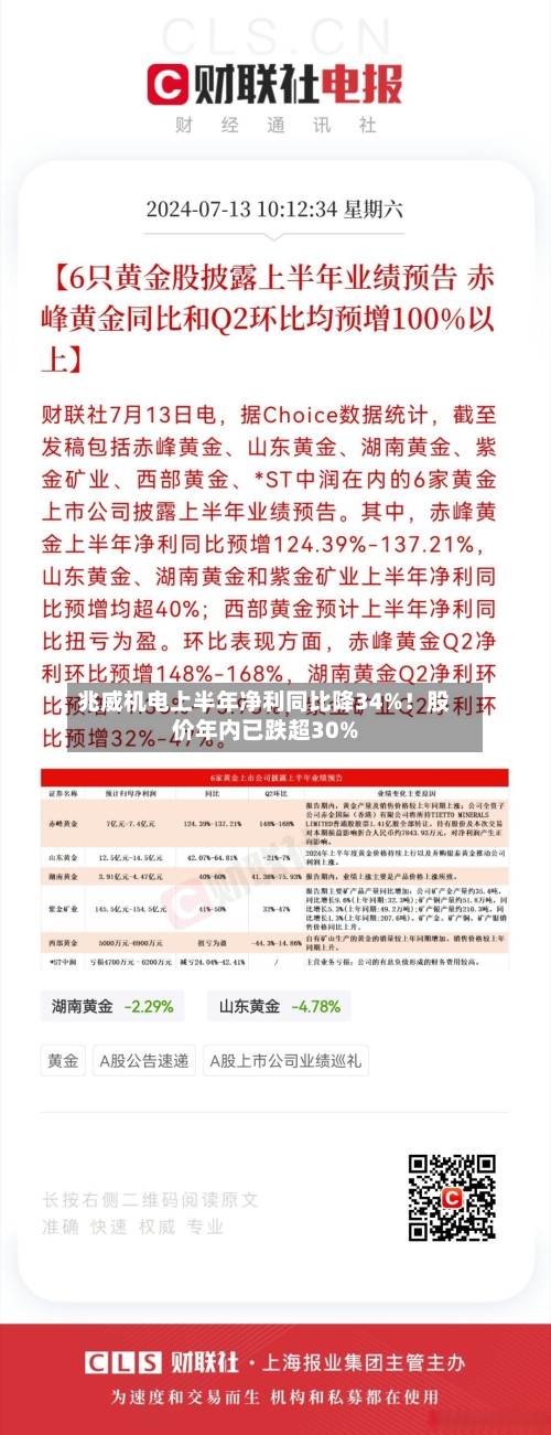 兆威机电上半年净利同比降34%！股价年内已跌超30%-第3张图片