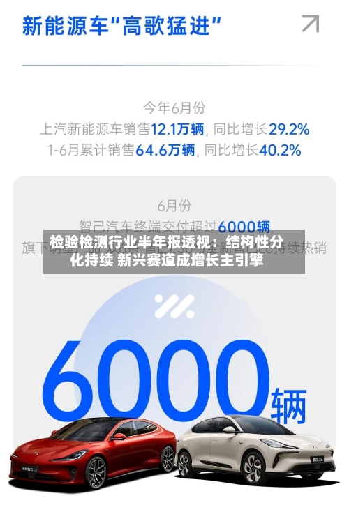 检验检测行业半年报透视：结构性分化持续 新兴赛道成增长主引擎