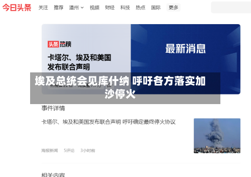 埃及总统会见库什纳 呼吁各方落实加沙停火-第2张图片