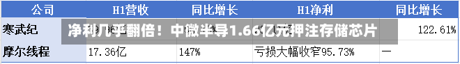 净利几乎翻倍！中微半导1.66亿元押注存储芯片-第3张图片