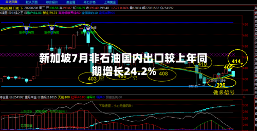 新加坡7月非石油国内出口较上年同期增长24.2%-第2张图片