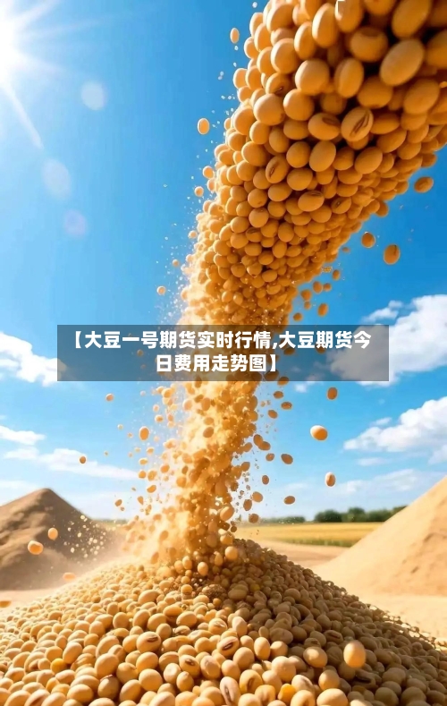 【大豆一号期货实时行情,大豆期货今日费用走势图】-第2张图片