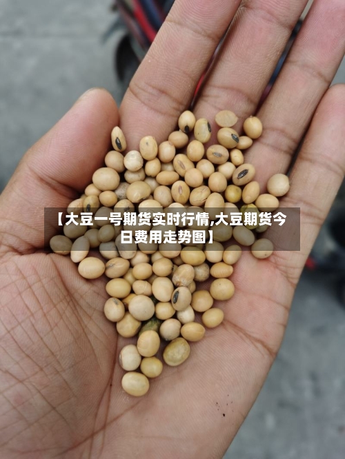 【大豆一号期货实时行情,大豆期货今日费用走势图】-第3张图片