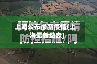 上海公布最新疫情(上海最新动态)