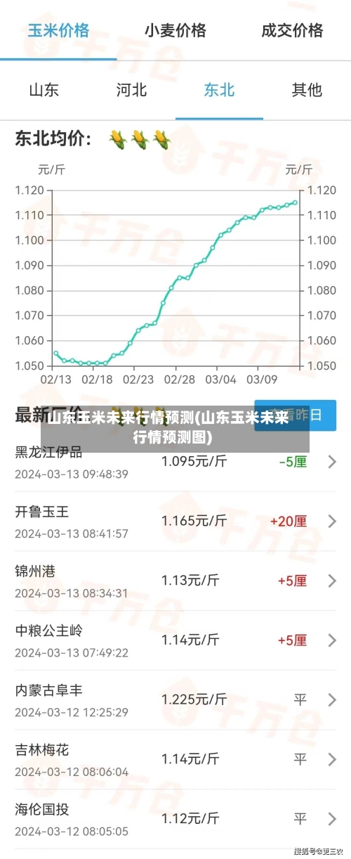 山东玉米未来行情预测(山东玉米未来行情预测图)-第2张图片