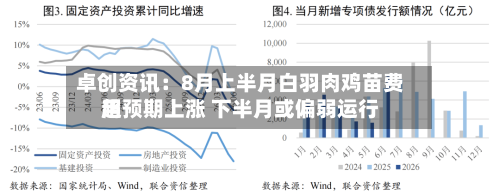 卓创资讯：8月上半月白羽肉鸡苗费用超预期上涨 下半月或偏弱运行-第2张图片