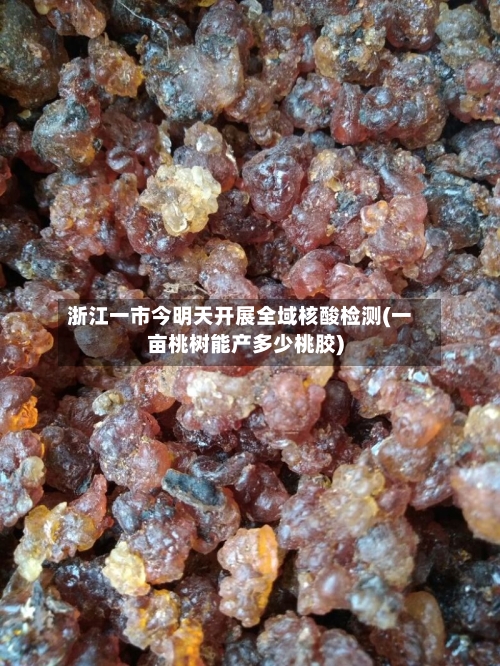 浙江一市今明天开展全域核酸检测(一亩桃树能产多少桃胶)-第2张图片