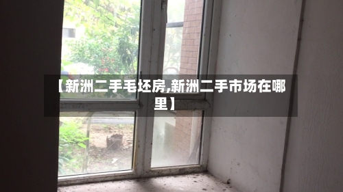 【新洲二手毛坯房,新洲二手市场在哪里】