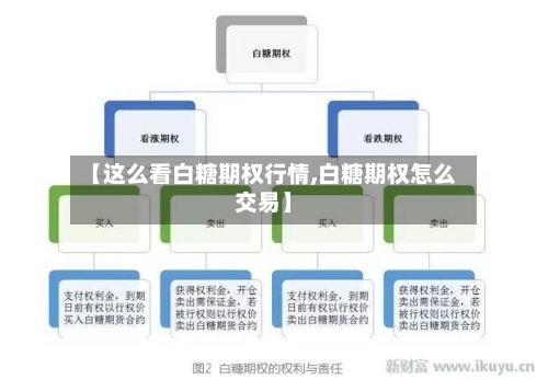 【这么看白糖期权行情,白糖期权怎么交易】-第3张图片
