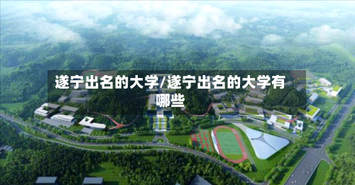 遂宁出名的大学/遂宁出名的大学有哪些-第2张图片
