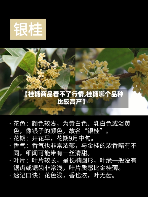 【桂糖商品看不了行情,桂糖哪个品种比较高产】