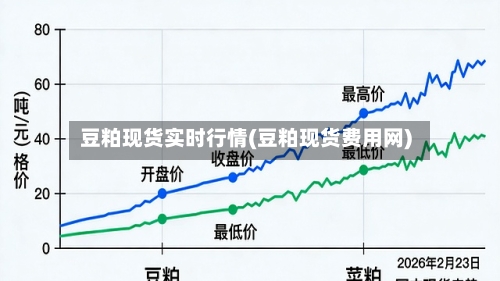 豆粕现货实时行情(豆粕现货费用网)