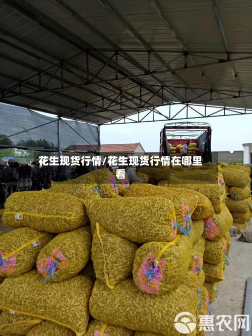 花生现货行情/花生现货行情在哪里看