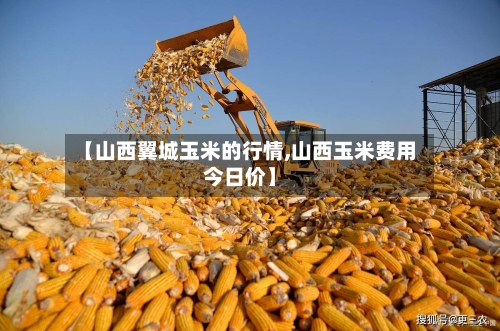 【山西翼城玉米的行情,山西玉米费用今日价】