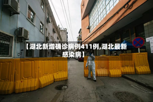 【湖北新增确诊病例411例,湖北最新感染病】-第2张图片