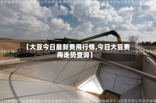 【大豆今日最新费用行情,今日大豆费用走势查询】