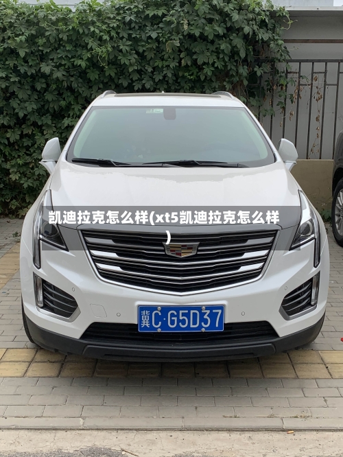 凯迪拉克怎么样(xt5凯迪拉克怎么样)-第2张图片