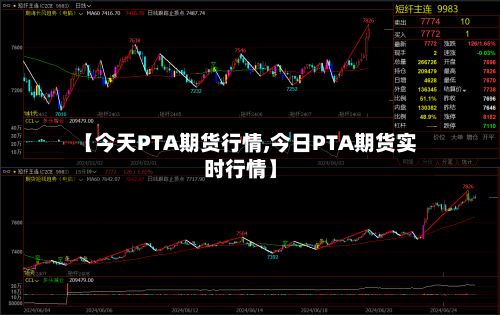 【今天PTA期货行情,今日PTA期货实时行情】