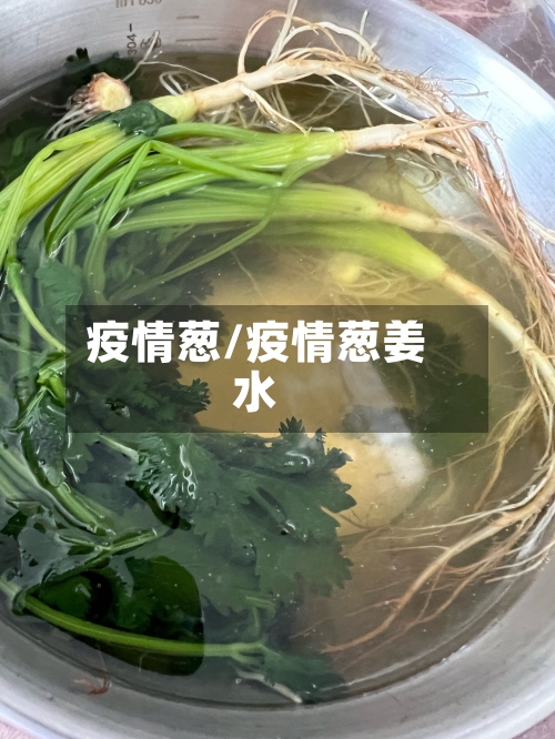 疫情葱/疫情葱姜水