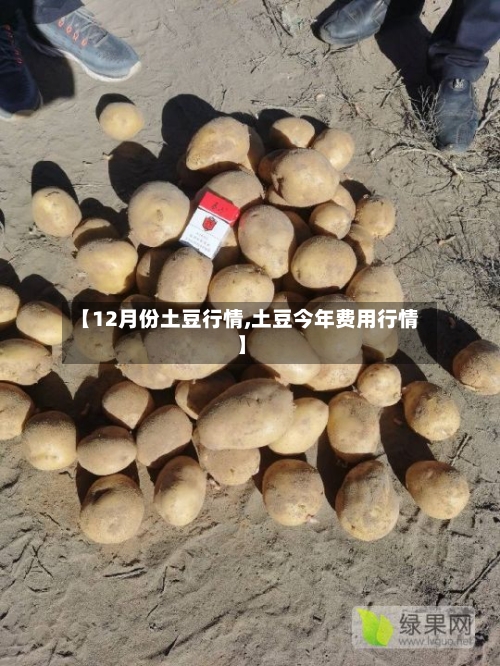 【12月份土豆行情,土豆今年费用行情】