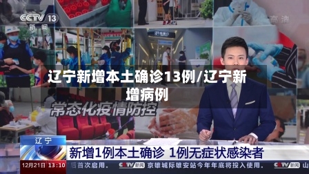 辽宁新增本土确诊13例/辽宁新增病例