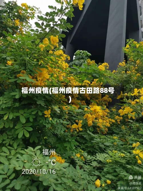 福州疫情(福州疫情古田路88号)