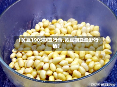 【黄豆1905期货行情,黄豆期货最新行情】