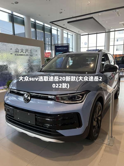 大众suv选取途岳20新款(大众途岳2022款)-第3张图片