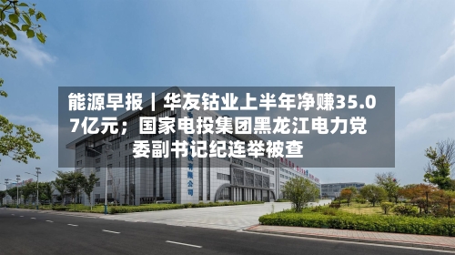 能源早报|华友钴业上半年净赚35.07亿元;国家电投集团黑龙江电力党委副书记纪连举被查-第2张图片