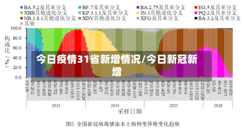 今日疫情31省新增情况/今日新冠新增