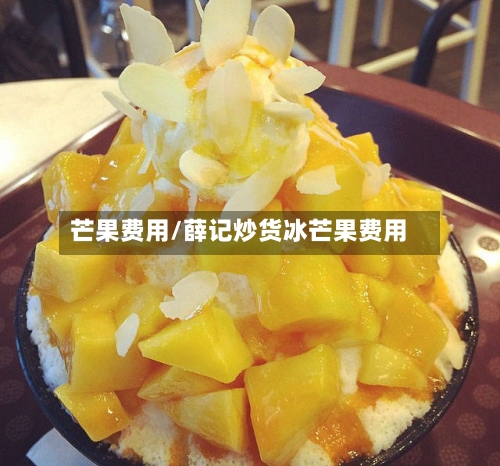 芒果费用/薛记炒货冰芒果费用