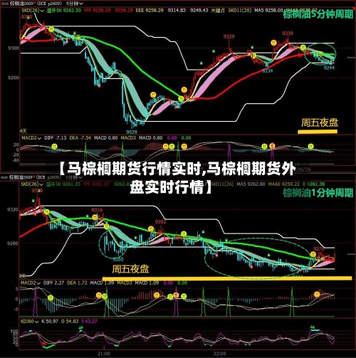 【马棕榈期货行情实时,马棕榈期货外盘实时行情】-第3张图片