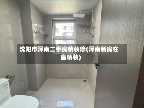 沈阳市浑南二手房精装修(浑南新房在售精装)-第3张图片