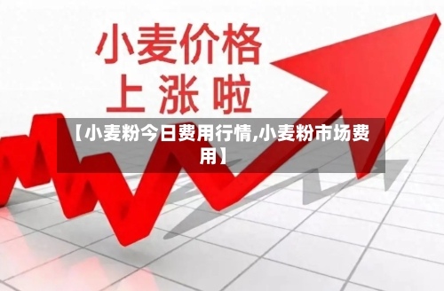 【小麦粉今日费用行情,小麦粉市场费用】-第3张图片