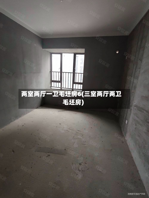 两室两厅一卫毛坯房6(三室两厅两卫毛坯房)