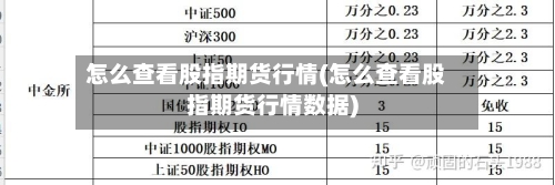 怎么查看股指期货行情(怎么查看股指期货行情数据)