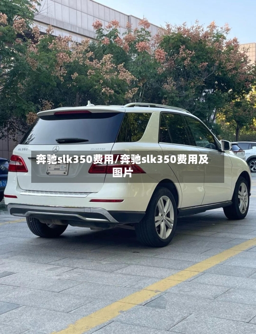 奔驰slk350费用/奔驰slk350费用及图片-第2张图片