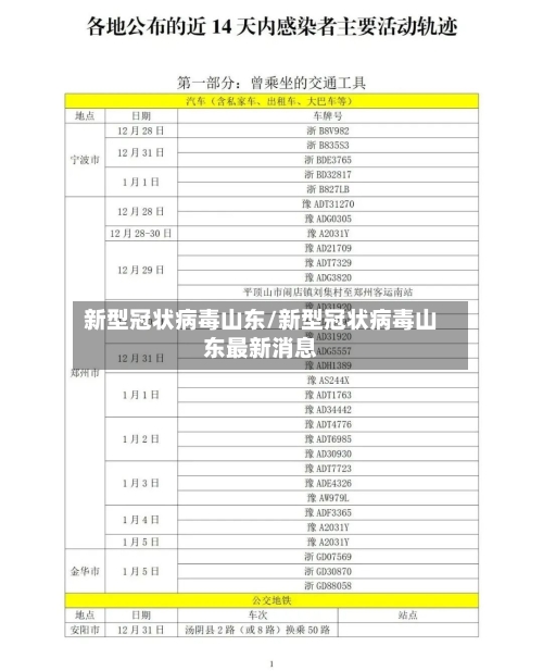 新型冠状病毒山东/新型冠状病毒山东最新消息-第2张图片