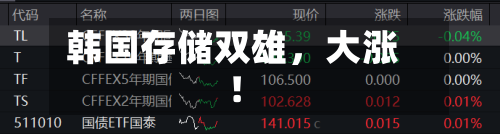 韩国存储双雄，大涨！