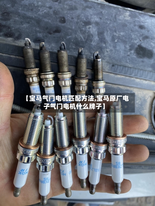 【宝马气门电机匹配方法,宝马原厂电子气门电机什么牌子】-第2张图片