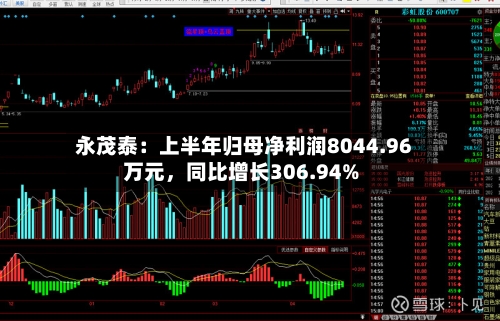 永茂泰：上半年归母净利润8044.96万元，同比增长306.94%-第2张图片