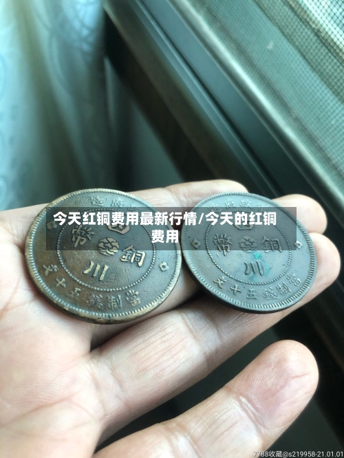 今天红铜费用最新行情/今天的红铜费用-第2张图片