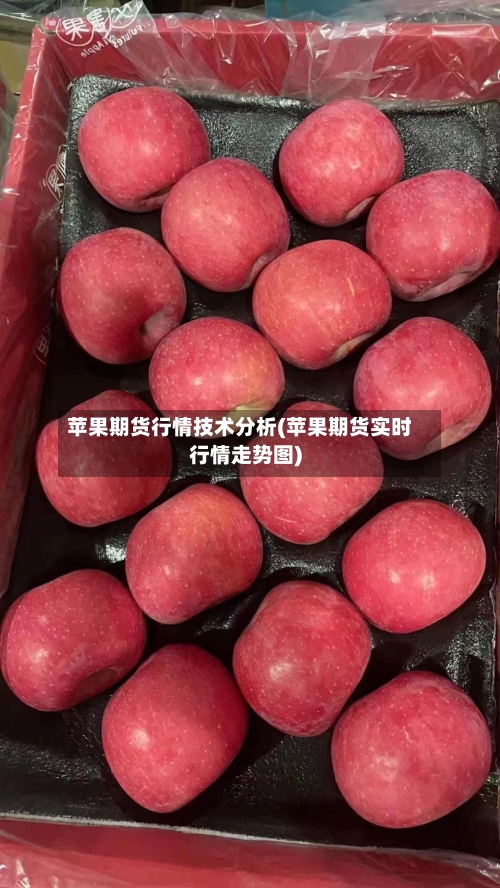 苹果期货行情技术分析(苹果期货实时行情走势图)