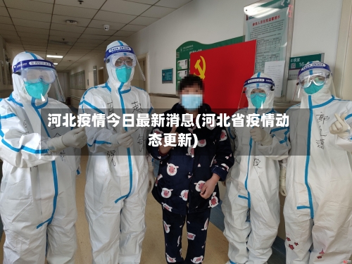 河北疫情今日最新消息(河北省疫情动态更新)-第2张图片