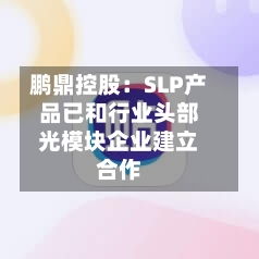 鹏鼎控股：SLP产品已和行业头部光模块企业建立合作-第2张图片