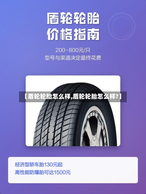 【盾轮轮胎怎么样,盾轮轮胎怎么样?】-第2张图片