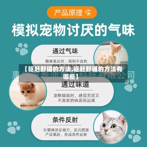 【驱赶野猫的方法,驱赶野猫的方法有哪些】